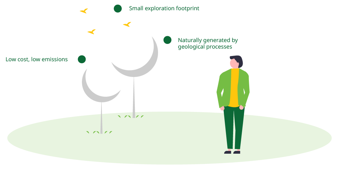 about-greenforet-img